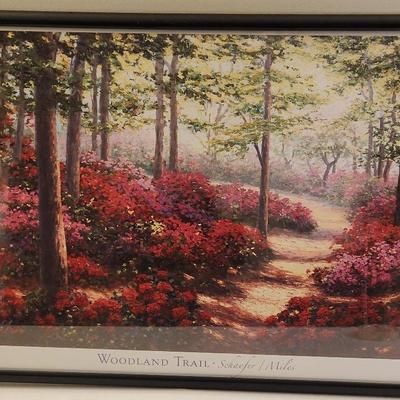 Beautiful Woodland Trail • Schaefer • Miles - Framed Print