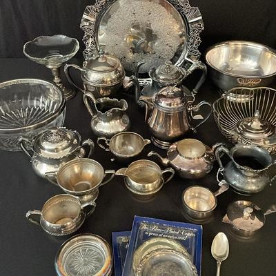 A Splash Of Silver 