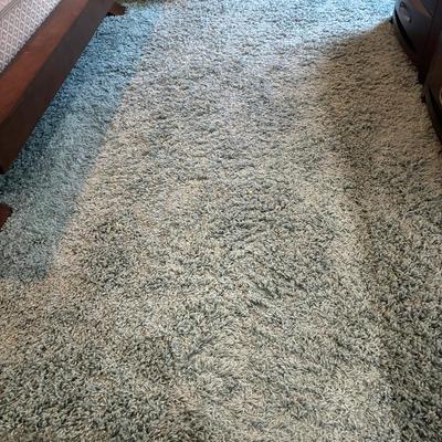 Blue Shag Area Rug