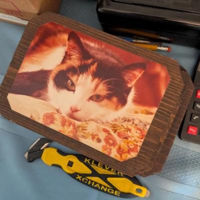 Sale Photo Thumbnail #118
