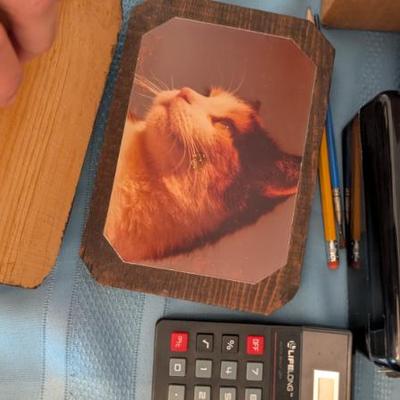 Sale Photo Thumbnail #133