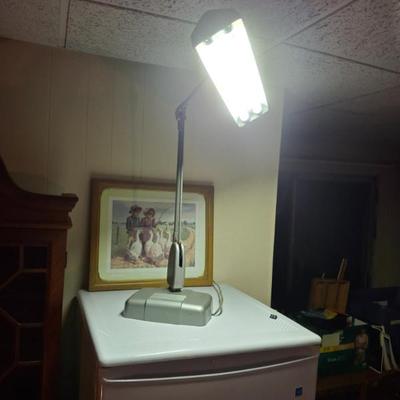 Sale Photo Thumbnail #312