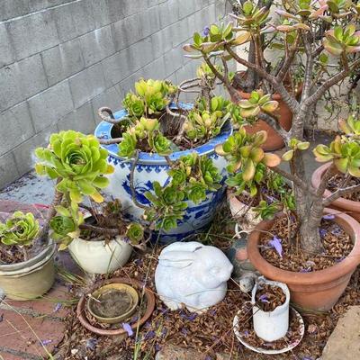 Sale Photo Thumbnail #323