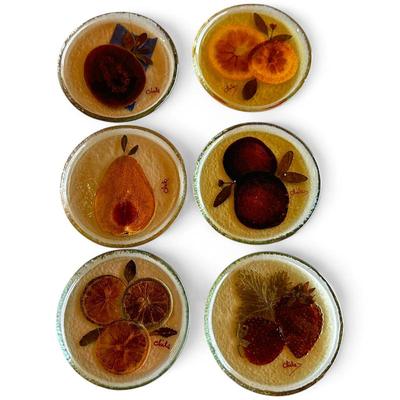 6 Resin Coasters w/ Dried Fruit