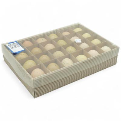 24 Artificial Hen’s Eggs w/ Speckled Design