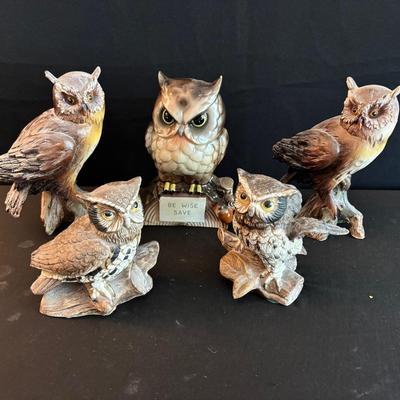 Owls
