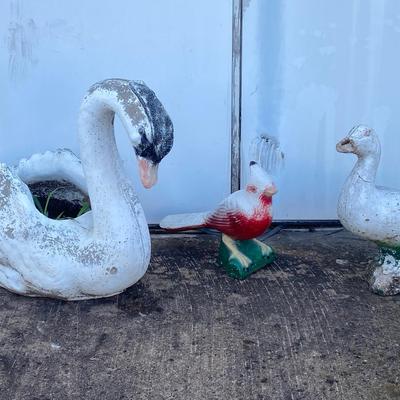 For The Birds