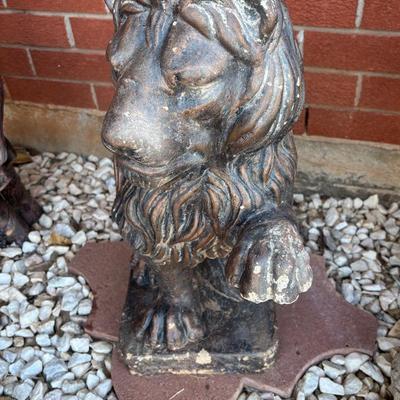 It’s A Lion