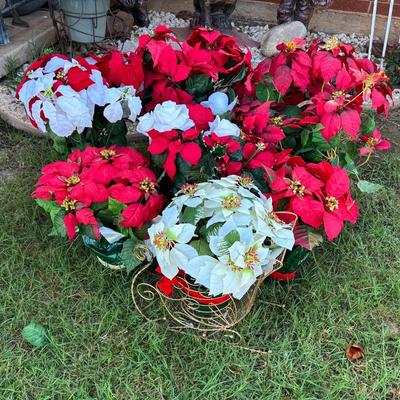 Pots Of Poinsettias