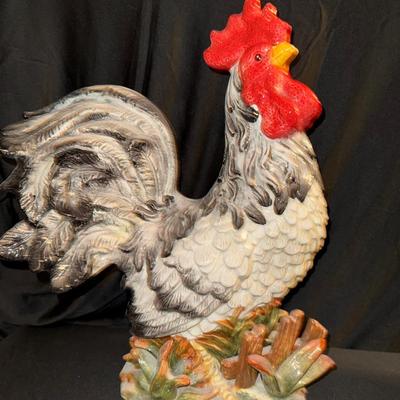 Black And White Rooster