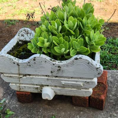 Succulent Planter