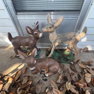 Deer Family 