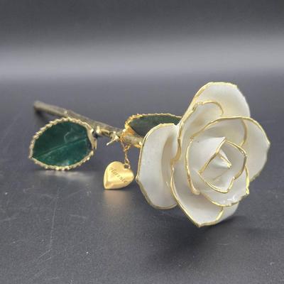 24K Gold Dipped White Rose.