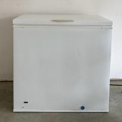 Frigidaire Heavy Duty Commercial Freezer