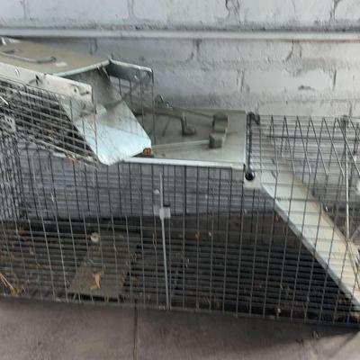 Two Hav-A-Hart Traps