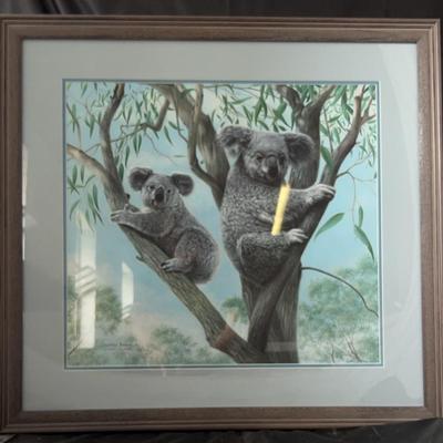 Charles Frace Offset Print Of Koalas