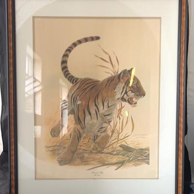 John Ruthven Offset Print “Bengal Tiger”