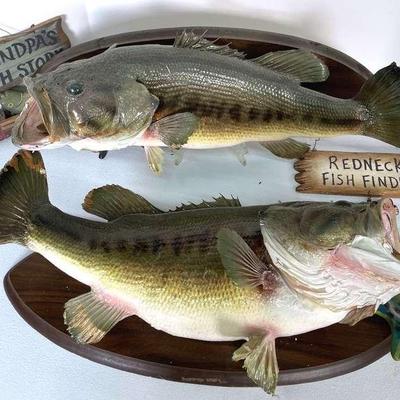 Pair Of Mounted Taxidermy Bass Fish With Fish Themed Signs 