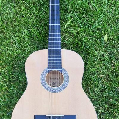 Burswood Acoustic Guitar (BR2)