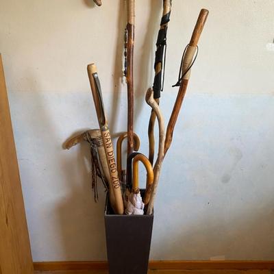 Handcrafted Walking Stick and Cane Collection in Floor Vase