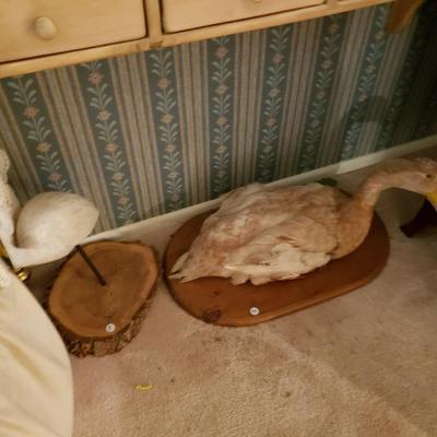 Sale Photo Thumbnail #173