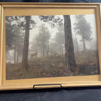AY318E Nature Photograph Signed By D.M. Tate