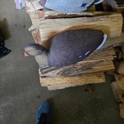 Sale Photo Thumbnail #100