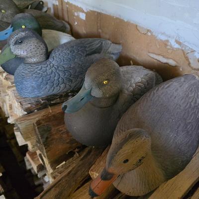 Sale Photo Thumbnail #91
