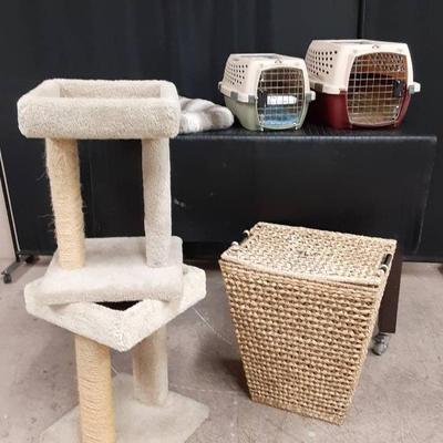 Scratching Posts, Kennels and More