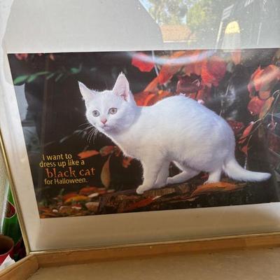 Sale Photo Thumbnail #140