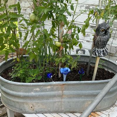 Vintage Tub / Garden