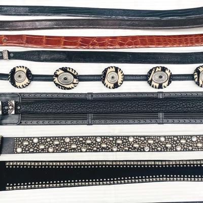 Leather Belt Collection 