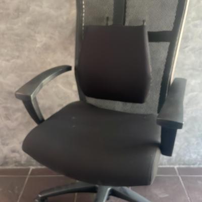 Paoli Office Chair  