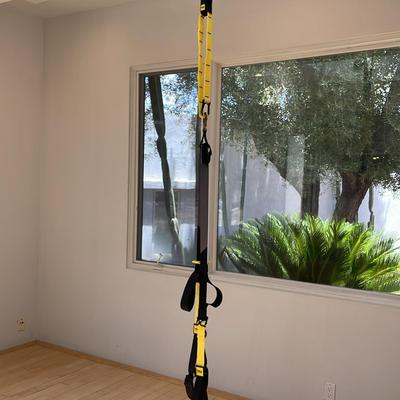 TRX Exercise System   