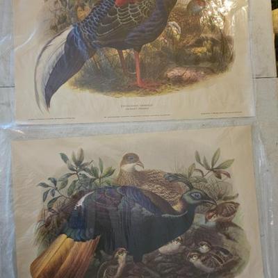 Sale Photo Thumbnail #86