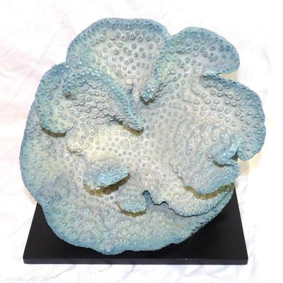 Sale Photo Thumbnail #43: Coral