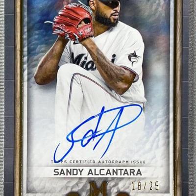 Sale Photo Thumbnail #242