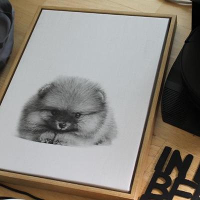 Sale Photo Thumbnail #136