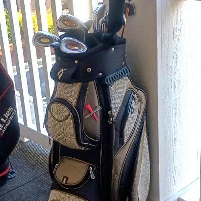 Set of golf club and bag