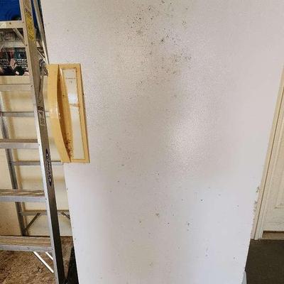 Kenmore Upright Freezer 