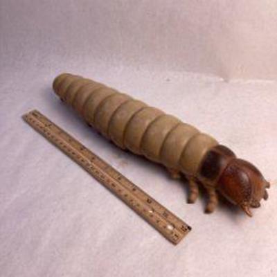 Large medical model parasite