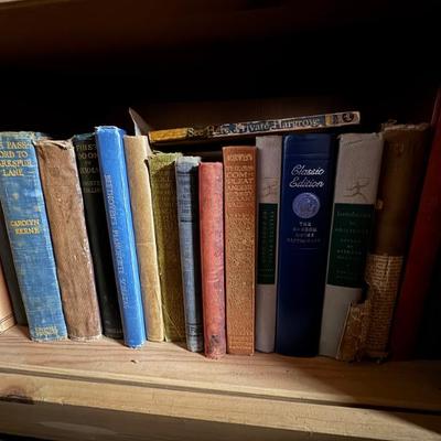 Sale Photo Thumbnail #498