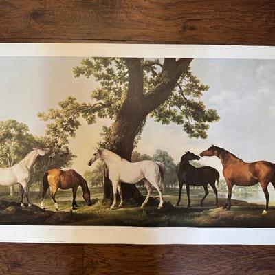 Sale Photo Thumbnail #769