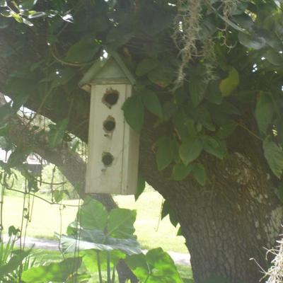 Sale Photo Thumbnail #194