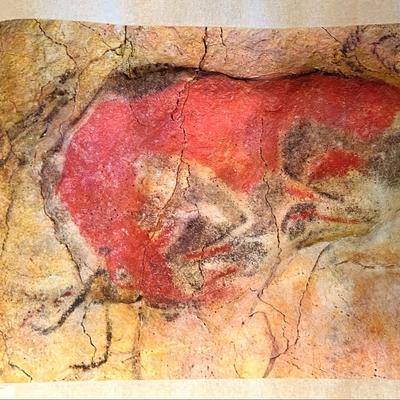 Cave Of Altimira:  Bisonte encogido Print On Starched canvas 