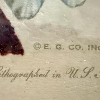 Sale Photo Thumbnail #100