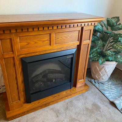 Faux Fireplace And Large Faux Plant