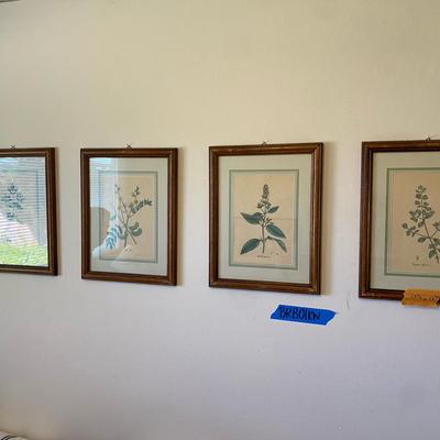 Set of 4 Framed Vintage Botanical Prints