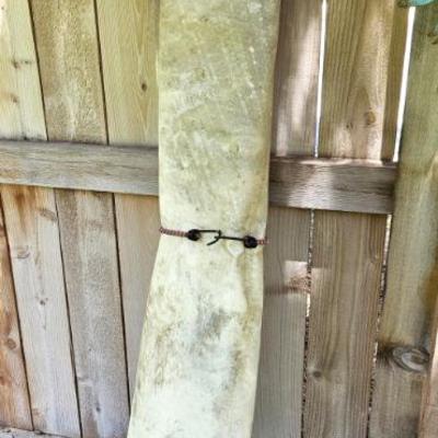 Lot #20 - Rolled up Stiff Animal Rawhide 62" Tall
