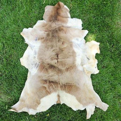 Lot #18 - Soft Antelope Hide - 4ft Long x 3ft Wide